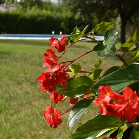 La Poiana Bed & Breakfast