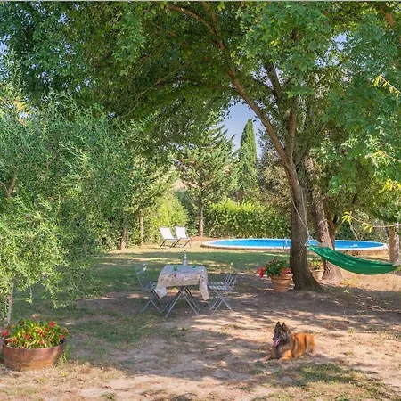 Bed & Breakfast La Poiana Petriolo
